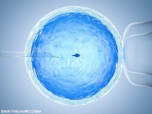 国内试管供卵代孕